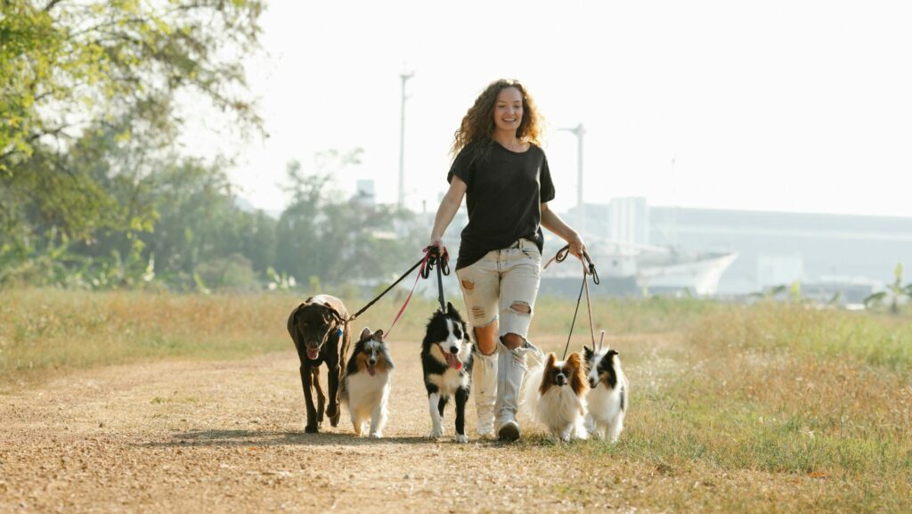 Photo of a dog walker